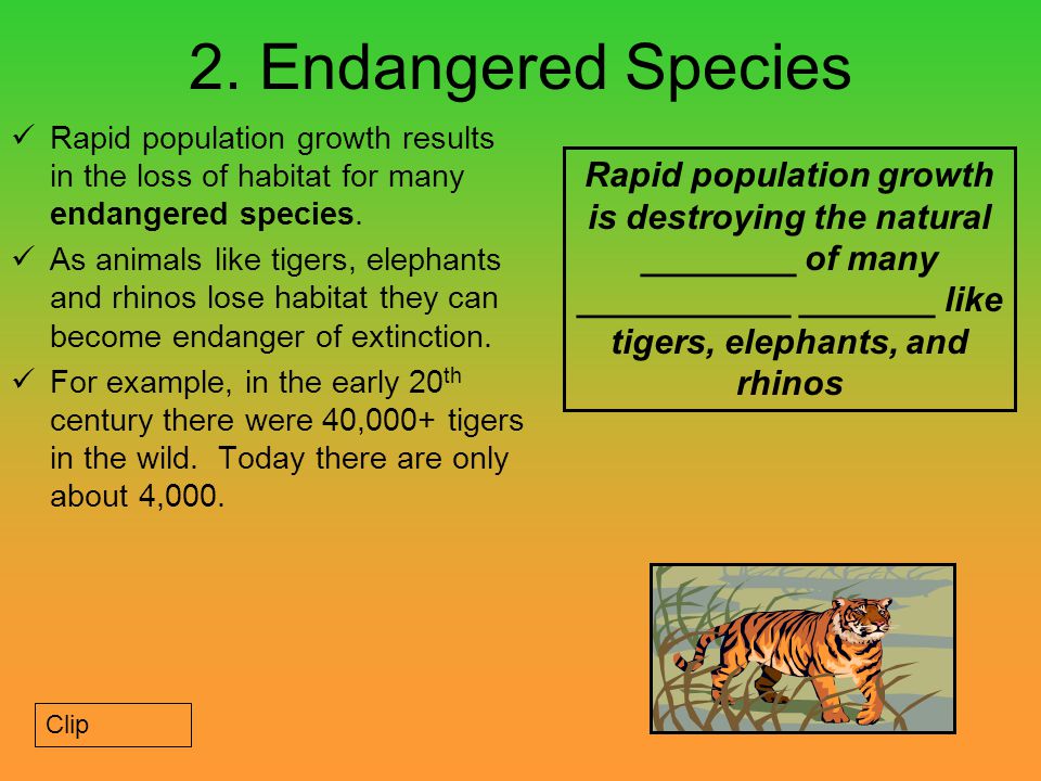 Animals in Danger of Extinction | Causes and Effects of Extinction
